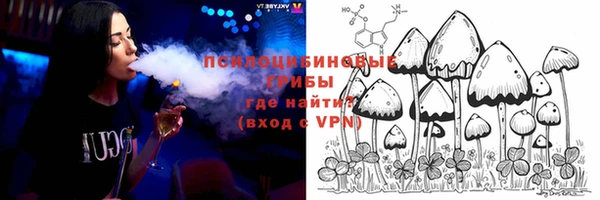 скорость Белокуриха
