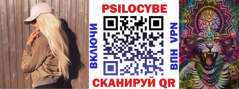 OMG рабочий сайт Гулькевичи Псилоцибиновые грибы Cubensis